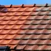 Arlington roof cleaning service